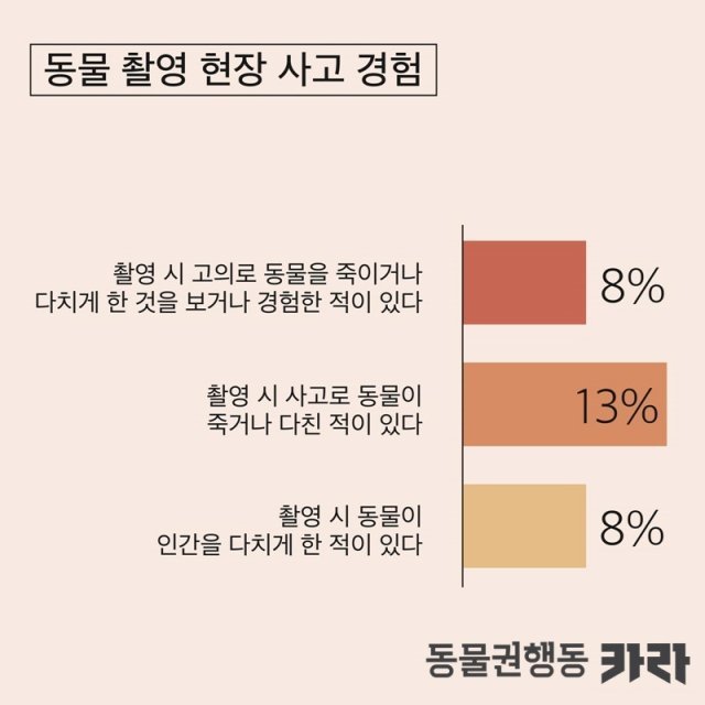 촬영현장의 동물복지 실태조사(카라 제공)/뉴스1