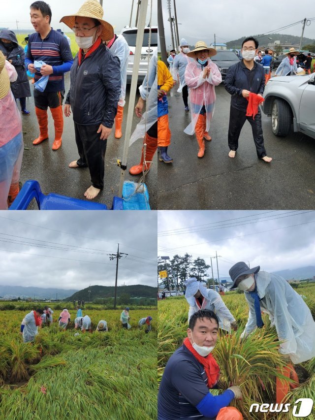 경북 경주 태풍 복구 봉사활동에 나선 국민의힘 (사진제공=국민의힘) © 뉴스1