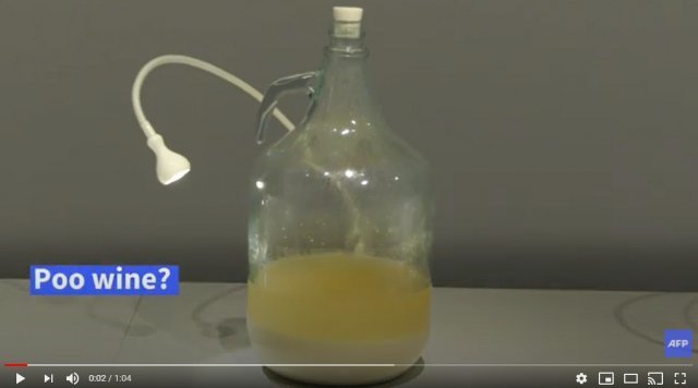 한국의 똥술-AFP 유튜브 동영상 캡처