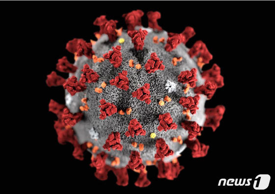 미국 질병통제예방센터(CDC)가 제작한 2019 신종 코로나바이러스 모형도. 출처= 뉴스1
