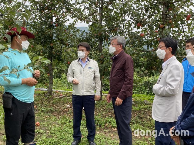 장철훈 농협경제지주 농업경제대표(왼쪽 세 번째)가 16일 경남 밀양시 소재 태풍피해 사과농가를 방문했다. 농협 제공