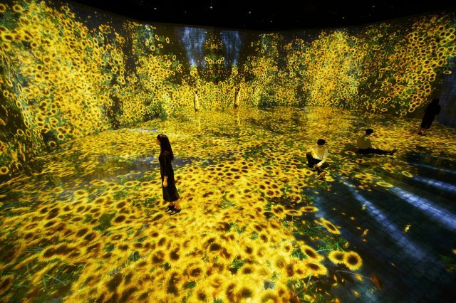 꽃과 사람, 제어할 수 없지만 함께 살다. teamLab: LIFE, Seoul ⓒ teamLab