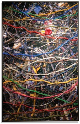 Plastic Landscape_Red Flower031200*2000Plastic filament drawing & regin work on digtal print.