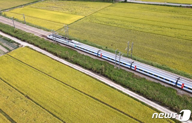 가을이 깊어가는 25일 오후 대전 서구 황금들판 사이로 기차가 지나고 있다. 2020.9.25/뉴스1 © News1