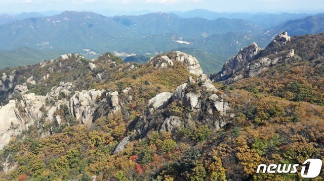 10월 첫째주 보은 속리산 문장대 주변 단풍 (속리산국립공원사무소 제공)© 뉴스1