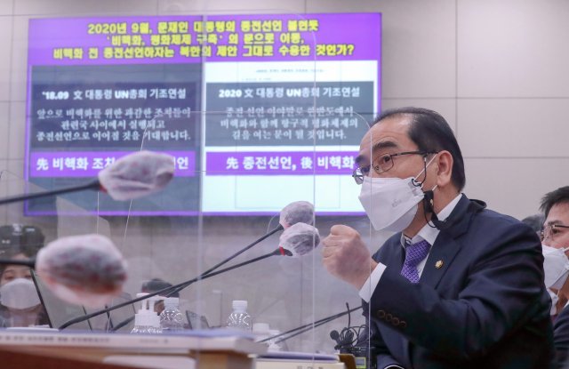 태영호 국민의힘 의원이 7일 서울 여의도 국회에서 열린 외교통일위원회의 외교부에 대한 국정감사에서 강경화 장관에게 질의하고 있다. 사진=뉴스1