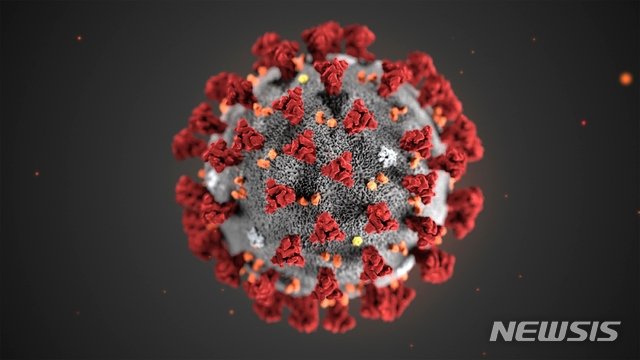 미국 질병통제예방센터(CDC)가 1월에 발표한 ‘신종 코로나바이러스‘의 일러스트 이미지.