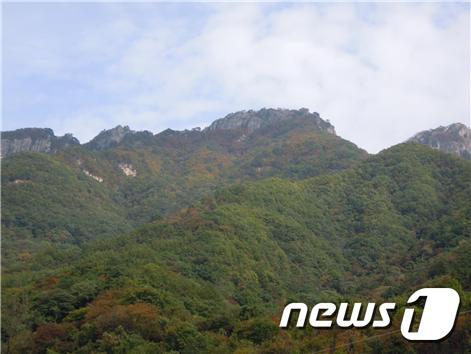 월악산 단풍  시작 (청주기상지청 제공) © 뉴스1