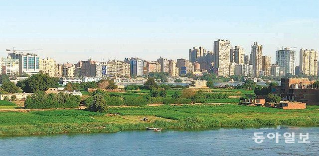 8일 이집트 기자 인근 나일강변에 초록색의 옥수수밭이 가득하다. 이집트 정부는 나일강 상류의 에티오피아가 ‘르네상스’댐을 짓는 바람에 수자원 부족이 심해지고 나일강 범람 횟수도 줄어 과거 물이 흐르던 곳이 농경지로 변하고 있다고 주장한다. 카이로=임현석 기자  lhs@donga.com