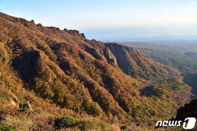 완연한 가을 날씨를 보인 15일 하늘로 솟은 한라산 영실 기암절벽이 단풍으로 물들었다. (한라산국립공원 제공).2020.10/5/뉴스1 © News1