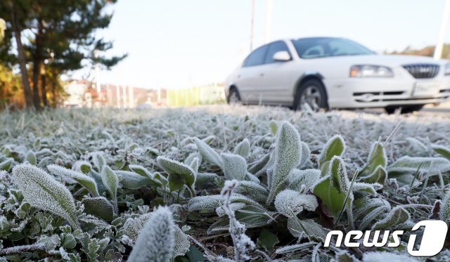 서리(자료 사진) © News1