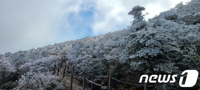 24일 제주 한라산국립공원에 올해 첫 상고대가 맺혔다(한라산국립공원 제공) 2020.10.24