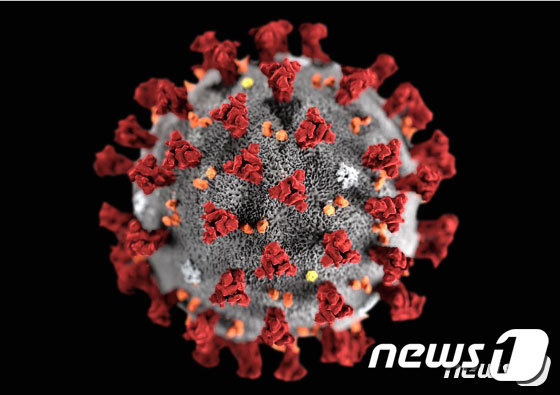 미국에서 24일(현지시간)까지 이틀 연속으로 가장 많은 수의 신종 코로나바이러스 감염증(코로나19) 일일 신규 확진자가 나왔다. © 뉴스1