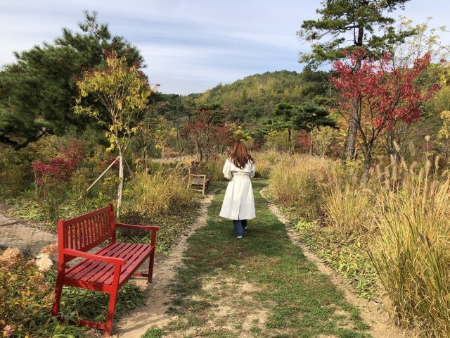 포레스트 캠프 곳곳에 조성된 산책로를 따라 걸으며 숲을 느낄 수 있다.