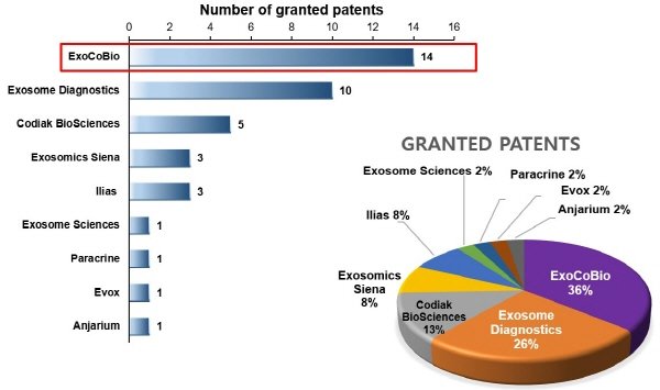 글로벌 엑소좀 기업들의 특허 현황(출처 Bioinformant, 2020)
