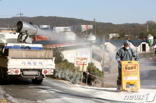 충남 천안에 이어 경기 용인시에서도 H5N8형 고병원성 조류인플루엔자(AI) 바이러스가 검출된 가운데 29일 오후 경기도 용인시 백암면 청미천 인근 양계 농가에서 용인축산농협 관계자가 차량을 이용해 방역하고 있다. 2020.10.29/뉴스1 © News1