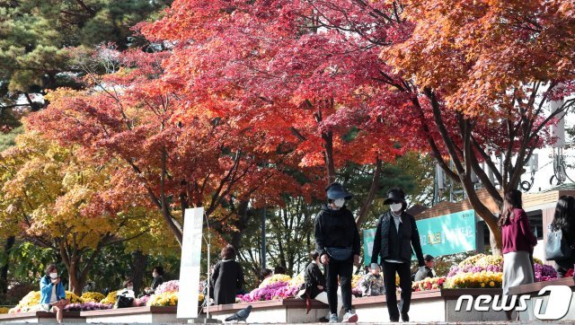 전국이 대체로 맑고 선선한 가을 날씨를 보인 30일 서울 중구 N서울타워에서 바라본 남산에 단풍이 울긋불긋 물들어 있다. 2020.10.30/뉴스1 © News1