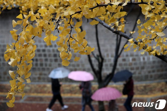 가을비가 내리는 1일 오후 서울 중구 덕수궁 인근에서 시민들이 우산을 쓰고 발걸음을 옮기고 있다. 2020.11.1/뉴스1 © News1