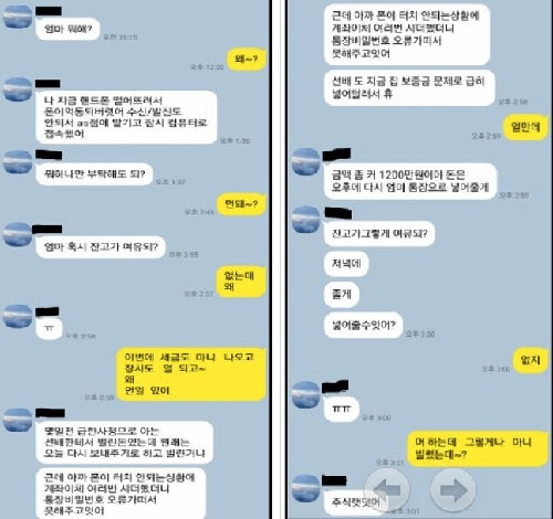 사진 금융감독원 제공