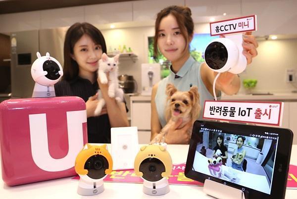 반려동물용 스마트 솔루션은 방범용으로도 응용 가능하다 (출처=LG유플러스)