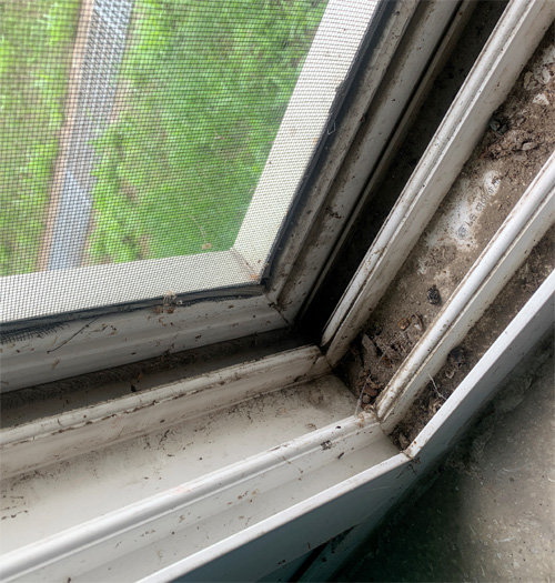 실내 정수장과 연결된 창틀의 위생 관리가 안 돼 있다.
먼지가 날릴 수 있고 벌레가 서식할 수 있다.