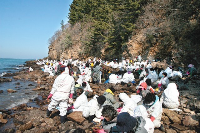 2007년 서해안 원유 유출 사건 당시 한국 기독교의 힘과 헌신을 보여준 봉사단의 방제 작업. 한국교회봉사단 제공