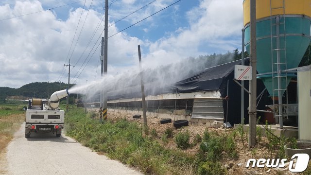 전남 진도군이 지역 조류농가를 대상으로 조류인플루엔자(AI) 차단을 위해 방역을 하고 있다.(진도군 제공)2020.11.16/뉴스1 © News1
