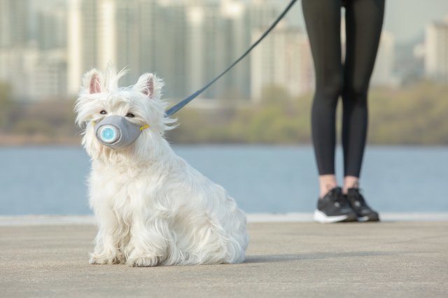 사진 출처= 게티이미지뱅크