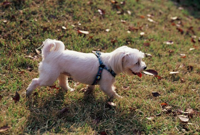 사진 출처= 게티이미지뱅크