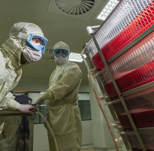 18일 전남 화순군 GC녹십자 화순공장에서 연구원들이 수두 백신 세포를 배양하고 있다. GC녹십자 제공