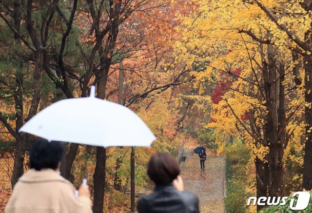 18일 오후 서울 종로구 경희궁에서 우산을 쓴 시민들이 산책을 하고 있다. 2020.11.18/뉴스1 © News1