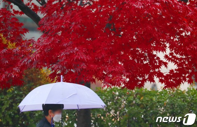 대전지역에 비가 내린 18일 오후 대전 서구 보라매공원에서 시민들이 우산을 쓰고 발길을 재촉하고 있다. 2020.11.18 © News1