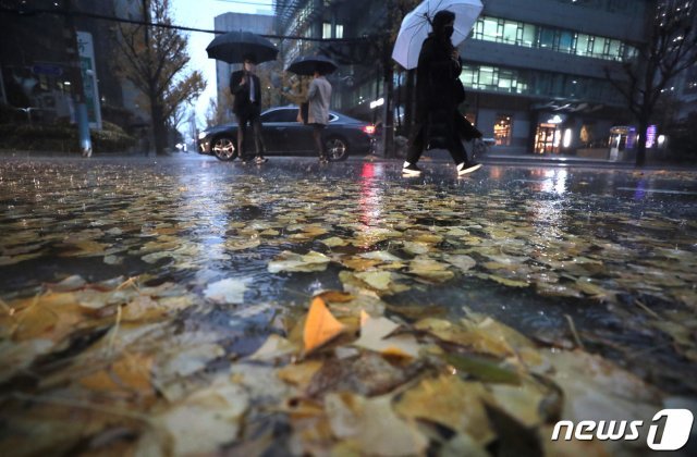 폭우가 내린 19일 서울 종로구에서 불어난 물 위로 낙엽이 떠내려가고 있다. 2020.11.19/뉴스1 © News1