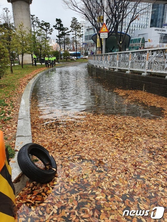 19일 오전 9시50분께 강풍주의보가 발효된 부산 연제구 남문구 교차로에 낙엽과 빗물로 인해 침수돼 배수로가 막혀 통제되고 있다.(부산경찰청 제공) 2020.11.19