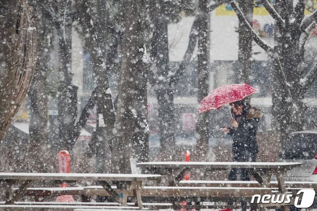 정월대보름이자 절기상 우수(雨水)인 19일 오전 서울 도심에서 한 시민이 함박눈을 맞으며 공원을 거닐고 있다. 2019.2.19/뉴스1 © News1