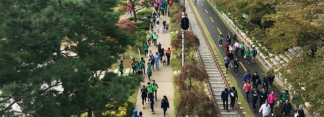 경북 포항시 철길숲을 찾은 시민들이 폐철길과 나무 사이 산책로를 따라 걷고 있다. 포항시 제공