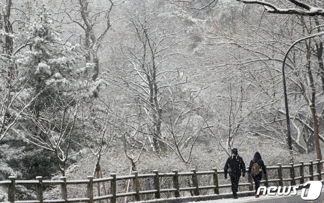 중부지방 곳곳에 눈이 내리는 가운데 13일 오전 서울 남산에서 시민들이 첫눈을 감상하고 있다.  2020.12.13/뉴스1 © News1