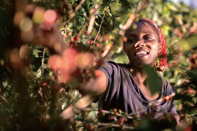 네스프레소는 ‘AAA 지속가능한 품질TM 프로그램’을 통해 커피 품질과 생산성을 높이고 농부들의 삶을 개선하기 위해 노력하고 있다.