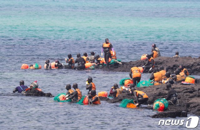 22일 제주시 구좌읍 행원포구 인근 갯바위에서 해녀들이 해산물 채취를 위해 준비하고 있다.2019.5.22/뉴스1 © News1