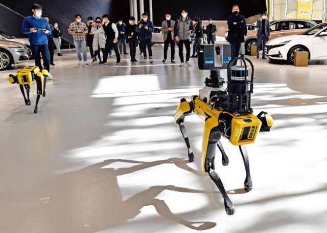 현대자동차그룹이 12월 16일부터 이틀간 현대모토스튜디오 고양에서 글로벌 로봇 업체 보스턴 다이나믹스의 로봇개 ‘스팟’을 시연했다. 사진 제공 · 현대자동차그룹