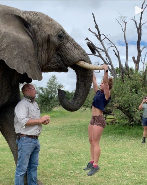 남아프리카공화국의 엠마 로버츠가 코끼리 상아에 매달린 채 영상을 찍어 동물학대 논란을 빚었다. 언론인 야사르 알리 트위터 갈무리