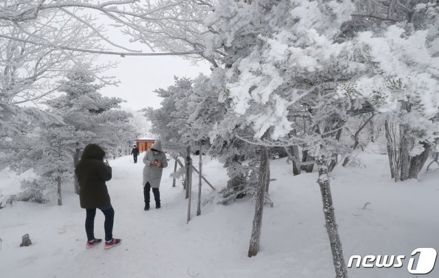 제주도에 첫 한파경보가 발효된 6일 오후 제주 한라산 1100고지 휴게소를 찾은 사람들이 겨울 정취를 즐기고 있다. 이날 밤 제주도 산지를 시작으로 강한 눈보라도 몰아치며 대설특보와 강풍특보, 풍랑특보도 잇따라 발표될 것으로 보인다.2021.1.6/뉴스1 © News1