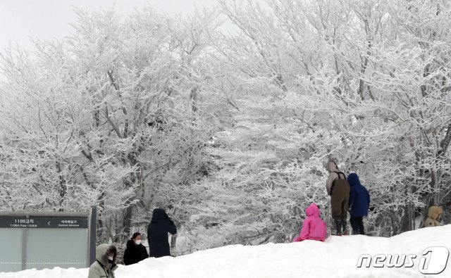 제주도에 첫 한파경보가 발효된 6일 오후 제주 한라산 1100고지 휴게소를 찾은 사람들이 겨울 정취를 즐기고 있다. 2021.1.6/뉴스1 © News1