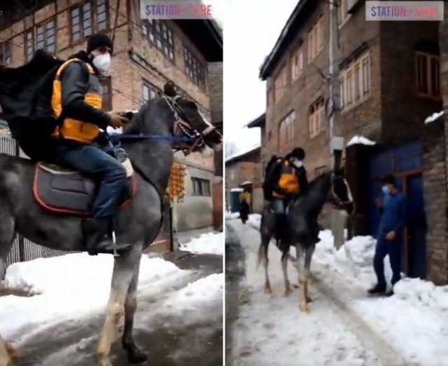폭설이 내린 인도에서 한 택배기사가 ‘말’을 타고 배송에 나서 화제가 되고 있다. 사진기자 우마르 가니 트위터 영상 갈무리
