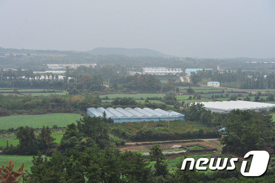 국토교통부가 “제주 제2공항 도민의견 수렴 결과를 존중, 정책결정에 충실히 반영하겠다”고 14일 밝혔다. 사진은 신공항 대상지로 선정된 제주 서귀포시 성산읍 신산리 전경. 2015.11.10 /뉴스1 © News1