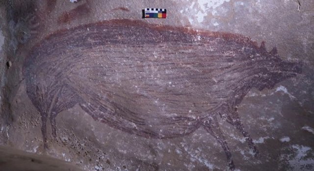 인도네시아 술라웨시섬에서 확인된 가장 오래된 동굴 벽화의 모습. 가로 136cm, 세로 54cm 크기의 멧돼지 그림과 손도장 자국이 남아 있다. 사이언스 어드밴시스 제공