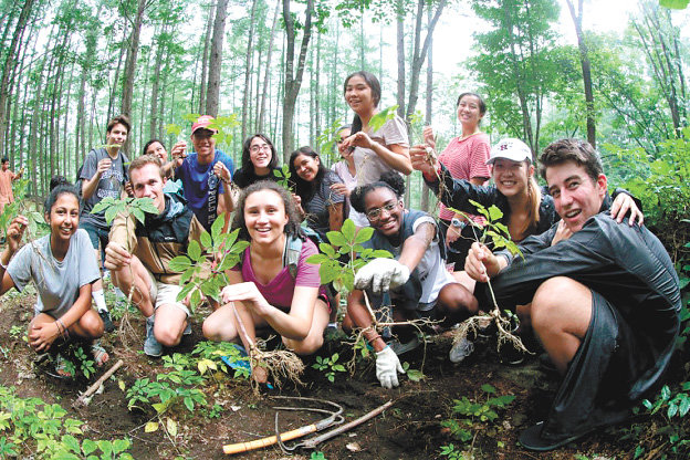 경남 함양산삼축제에 참가한 외국인 관광객들이 체험행사를 즐기고 있다. 산삼축제는 함양산삼항노화엑스포의 뿌리가 됐다. 함양군 제공