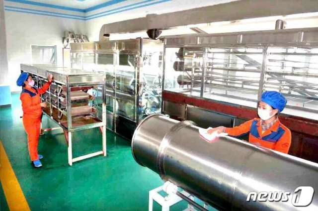 북한 노동당 기관지 노동신문은 19일 전국 각지의 신종 코로나바이러스 감염증(코로나19) 비상 방역사업 현황을 점검했다. 사진은 소독 사업을 진행하는 수성천종합식료공장 노동자들의 모습. (평양 노동신문=뉴스1)