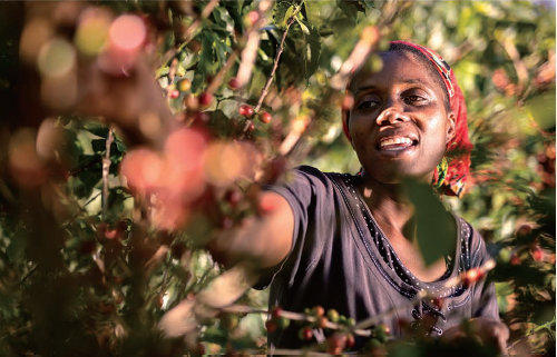 ‘AAA 지속가능한 품질™ 프로그램’에 참여하는 농부의 안정적 미래를 위해 ‘농부 미래 프로그램’ 등을 운영 중이다. 커피 농부뿐 아니라 이들 가족의 삶까지 안정적으로 이끌고, 커피 산업을 장기적으로 보호하려는 의지다.