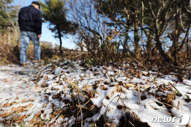 3일 오후 강원도 횡성군 둔내면 태기산 정상 부근에 눈이 쌓여 있다. 2020.11.3/뉴스1 © News1